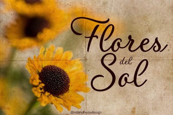 Flores Del Sol Font for Business
