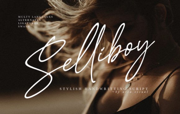 Selliboy: A Script Amp for Real Projects