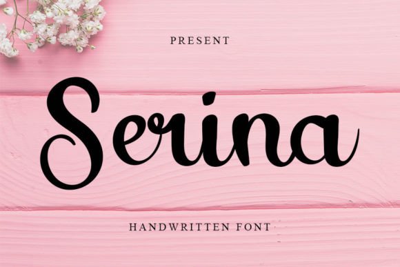 Serina: A Friendly Handwritten Font for Business